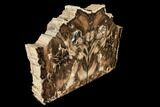 Petrified Wood Bookends - Oregon #112019-2